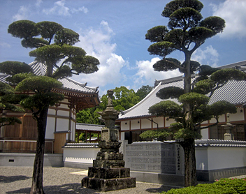 Shikoku 88 Temple Trail