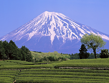 Chubu, Mount Fuji