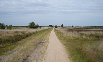 Graaf van Hornepad, Strabrechtse Heide