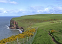 Around St Bees Head - by Jeanne & Ray