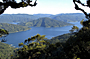 Lake Waikaremoana Great Walk - by Gwyn